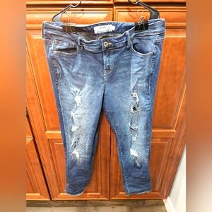 Torrid Bootcut Jeans #422